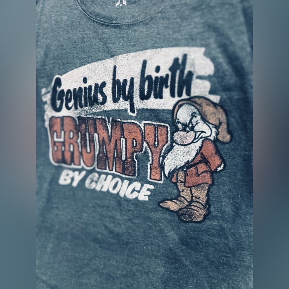 Disneyland By Hanes Genius By Birth Grumpy By Choice Gray T-Shirt Small
